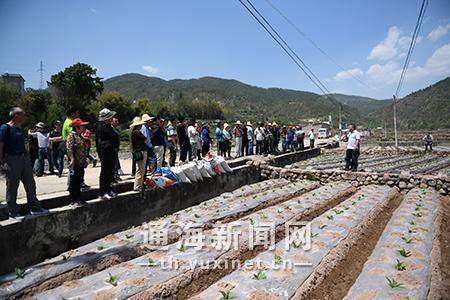 通海县人口_表情 云南通海再次发生5.0级地震暂无人员伤亡 表情(3)