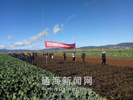 通海乡镇人口_通海秀山图片(2)
