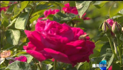 图片3.jpg 图片3.jpg