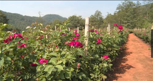 图片1.jpg 图片1.jpg