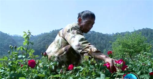 图片4.jpg 图片4.jpg