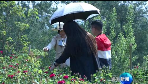 图片2.jpg 图片2.jpg