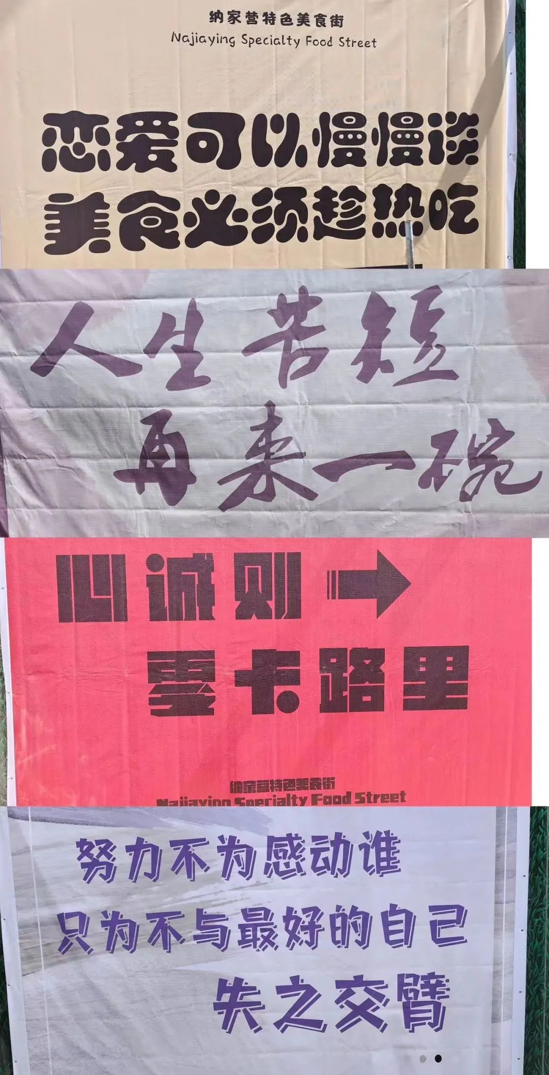 微信图片_20230327152309.jpg
