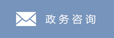 政务咨询