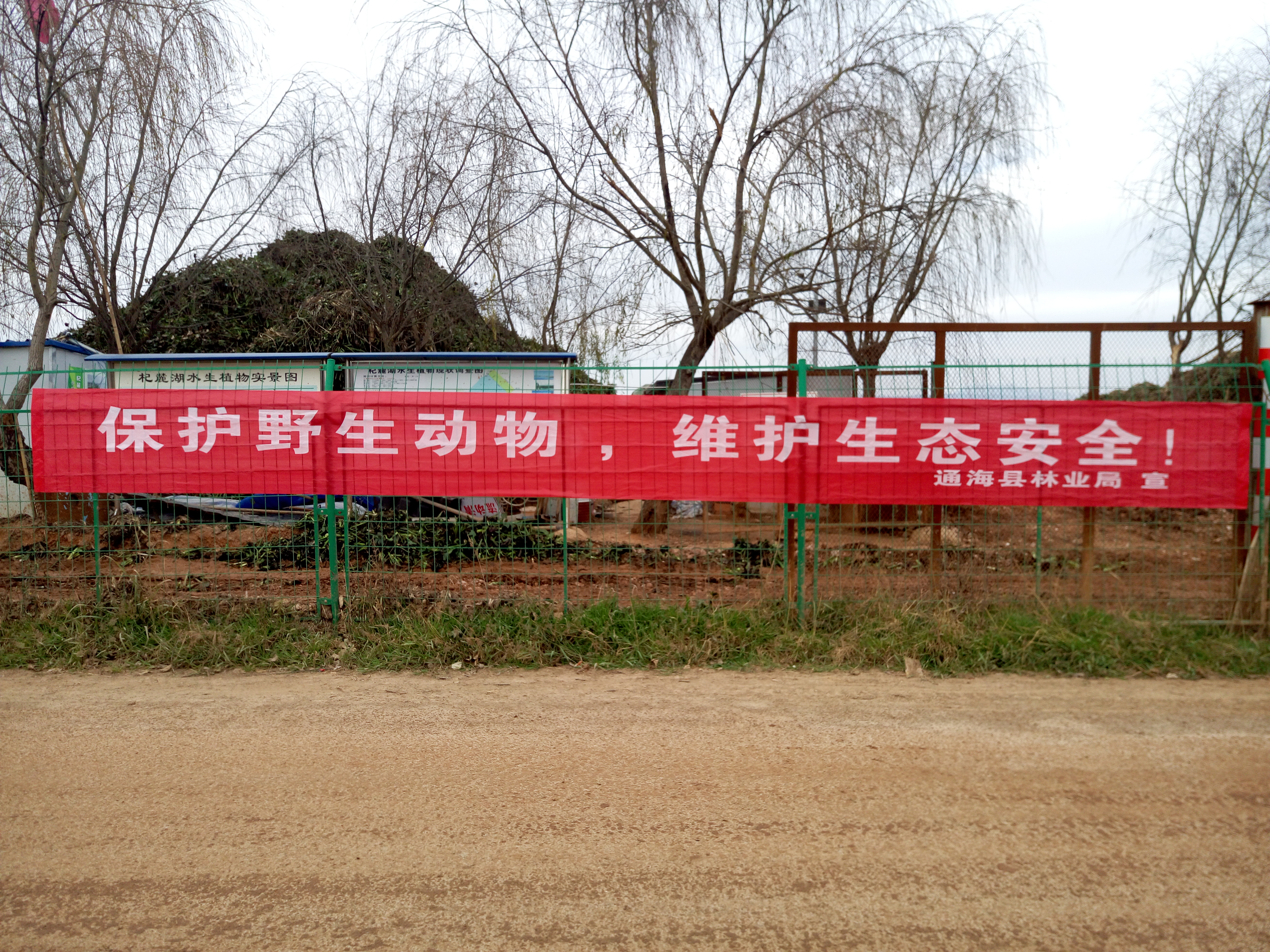 P80112-165704.jpg P80112-165704.jpg