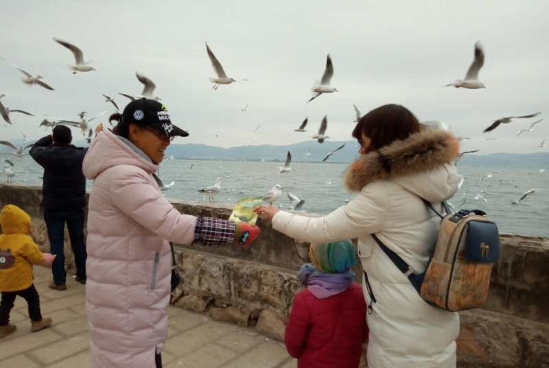 mmexport1515988556394_看图王.jpg mmexport1515988556394_看图王.jpg