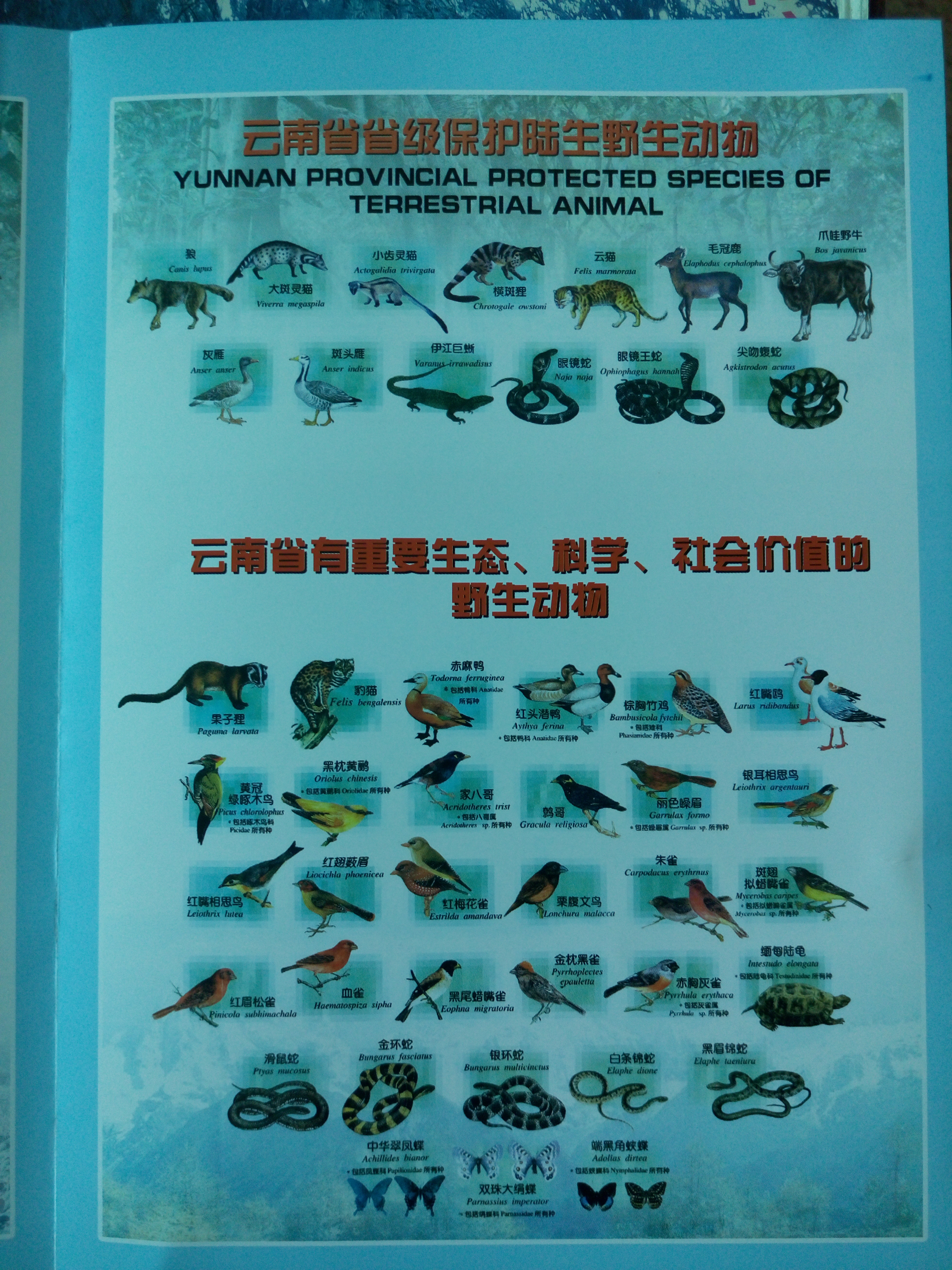 P71218-151924.jpg P71218-151924.jpg