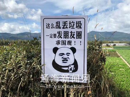 表情包3