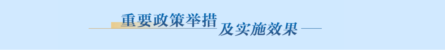 重要政策举措及实施效果