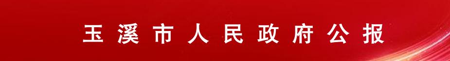 玉溪市人民政府公报