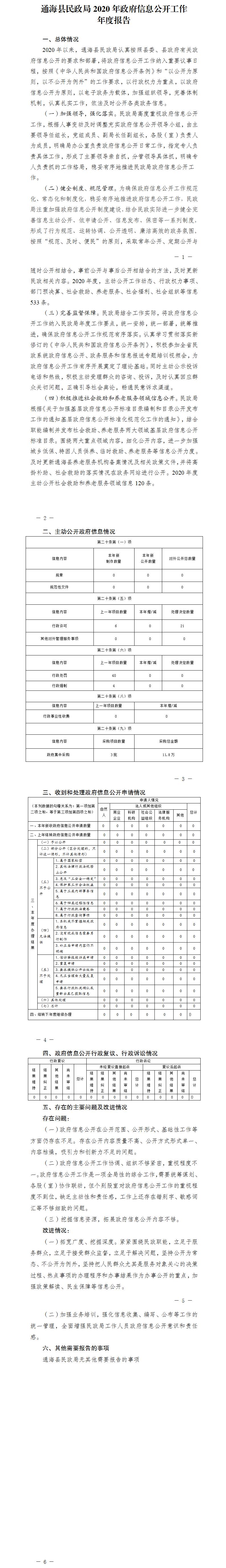 通海县民政局2020年政府信息公开工作年度报告.jpg