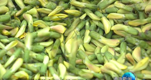 图片2.jpg 图片2.jpg