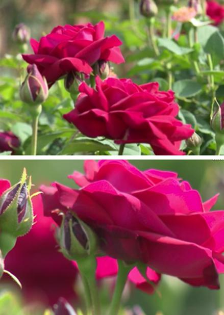 图片7.jpg 图片7.jpg