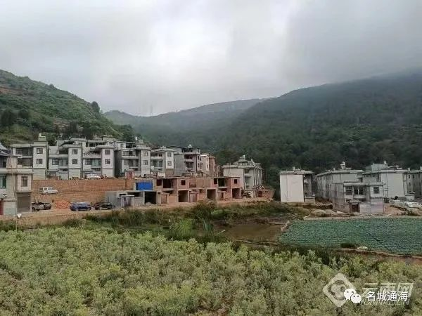 图片6.png 图片6.png