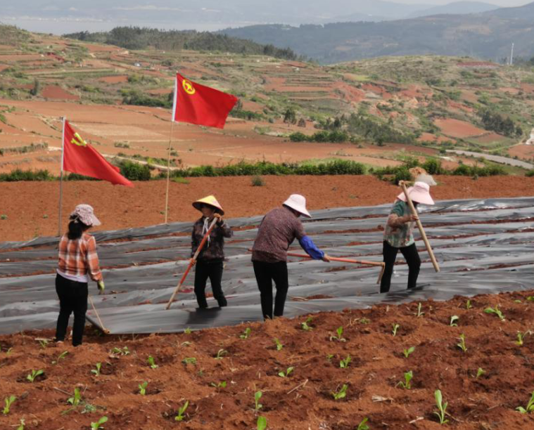 通海县杨广镇运用三个工作法把好党员发展入口关