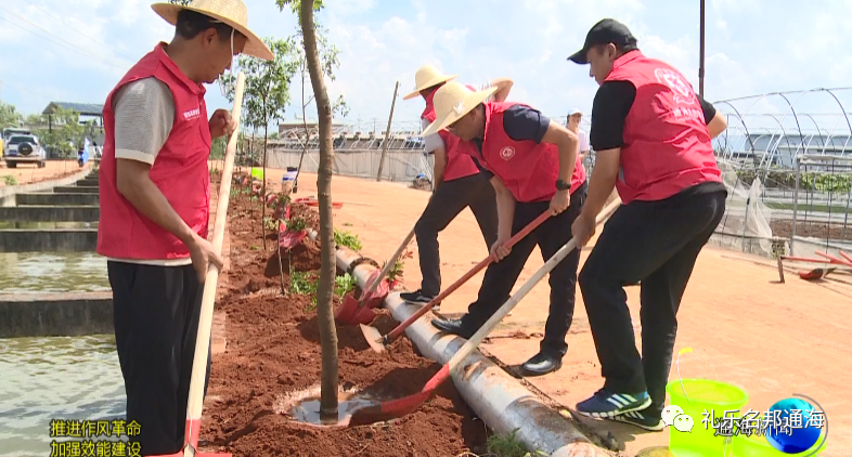 图片3.png 图片3.png