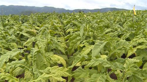 图片12.jpg 图片12.jpg