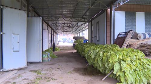 图片13.jpg 图片13.jpg