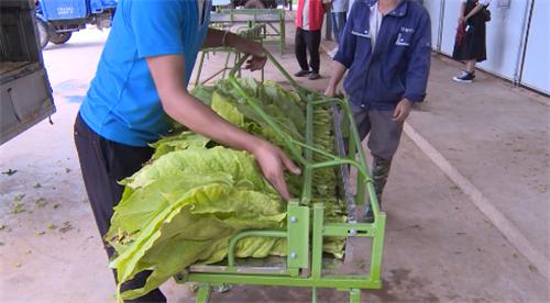 图片14.jpg 图片14.jpg