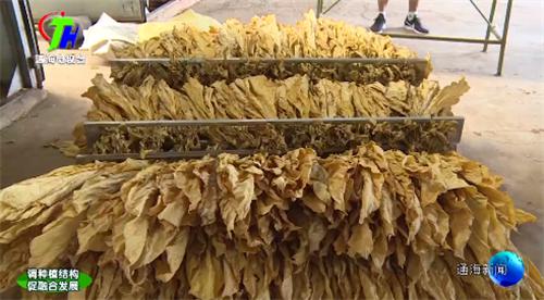 图片16.jpg 图片16.jpg