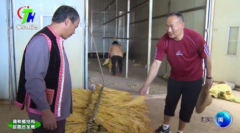 图片17.jpg 图片17.jpg