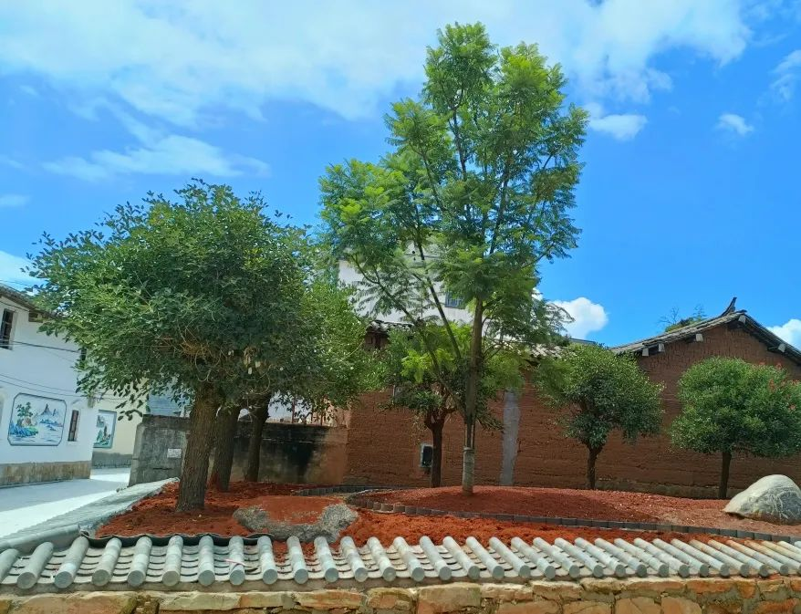 图片1.png 图片1.png