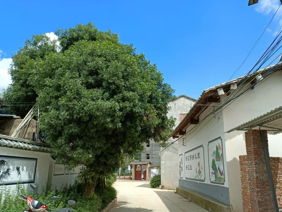 图片3.png 图片3.png