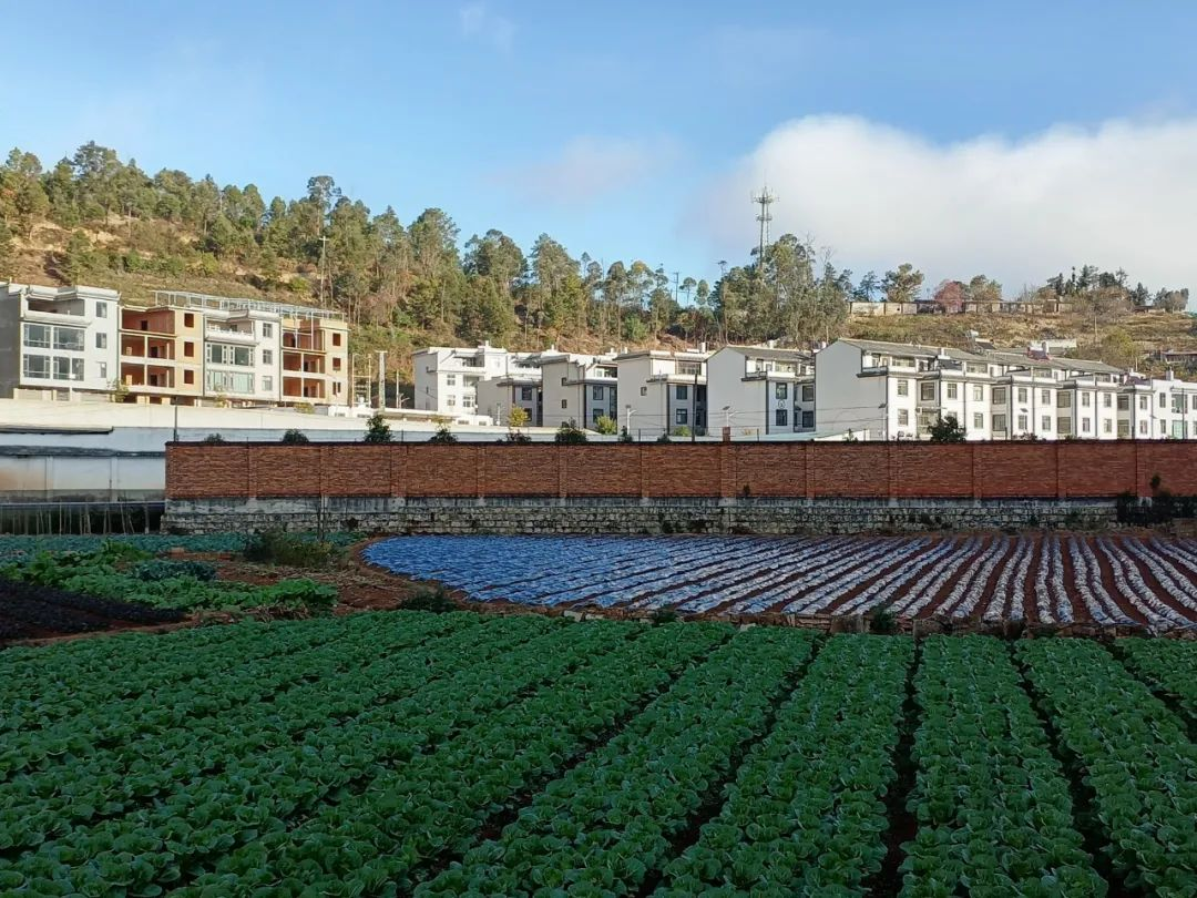 图片2.png 图片2.png