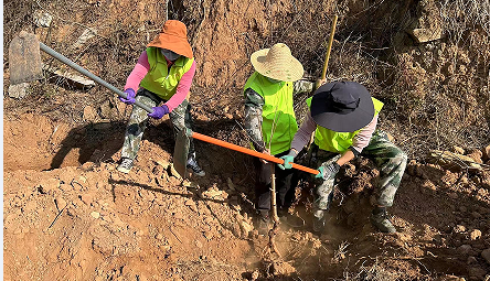 图片3.png 图片3.png