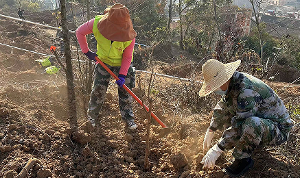 图片5.png 图片5.png