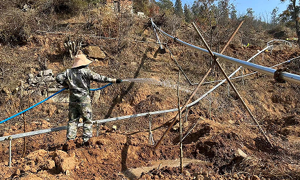 图片6.png 图片6.png