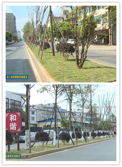 图片2.png 图片2.png