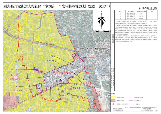大梨2.jpg