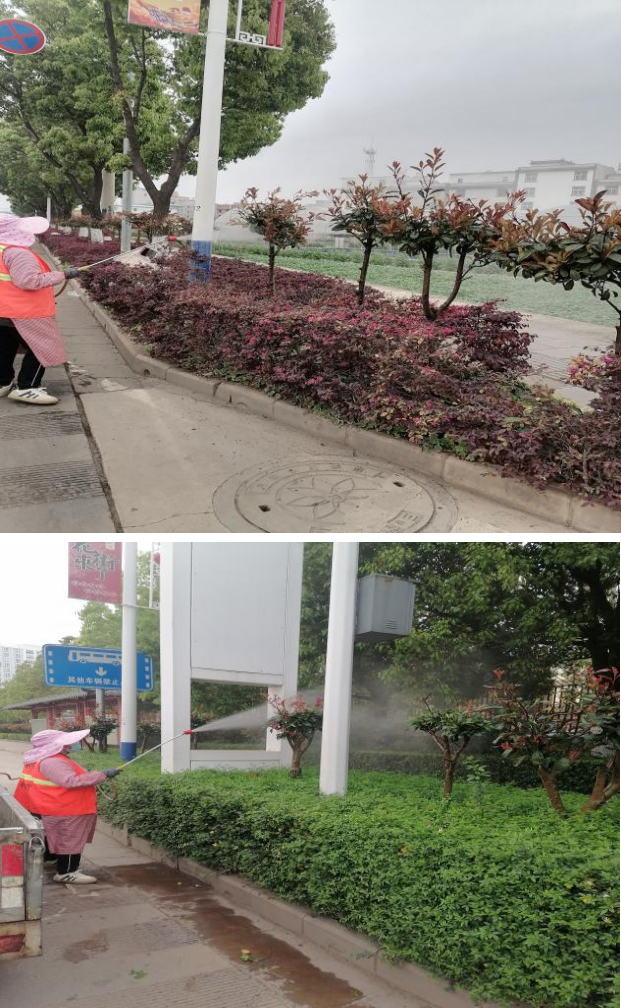 图片1.png 图片1.png