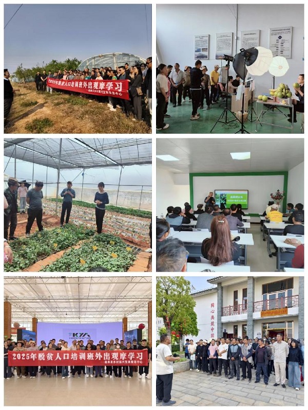 图片3.jpg 图片3.jpg