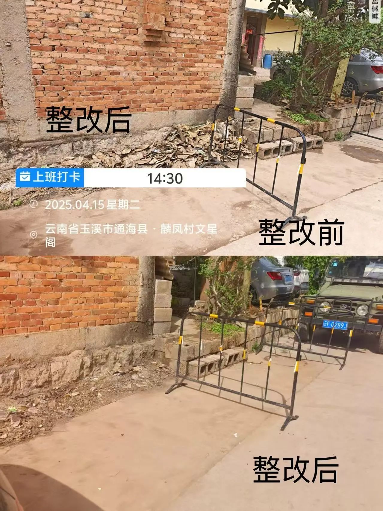 麟凤2.jpg