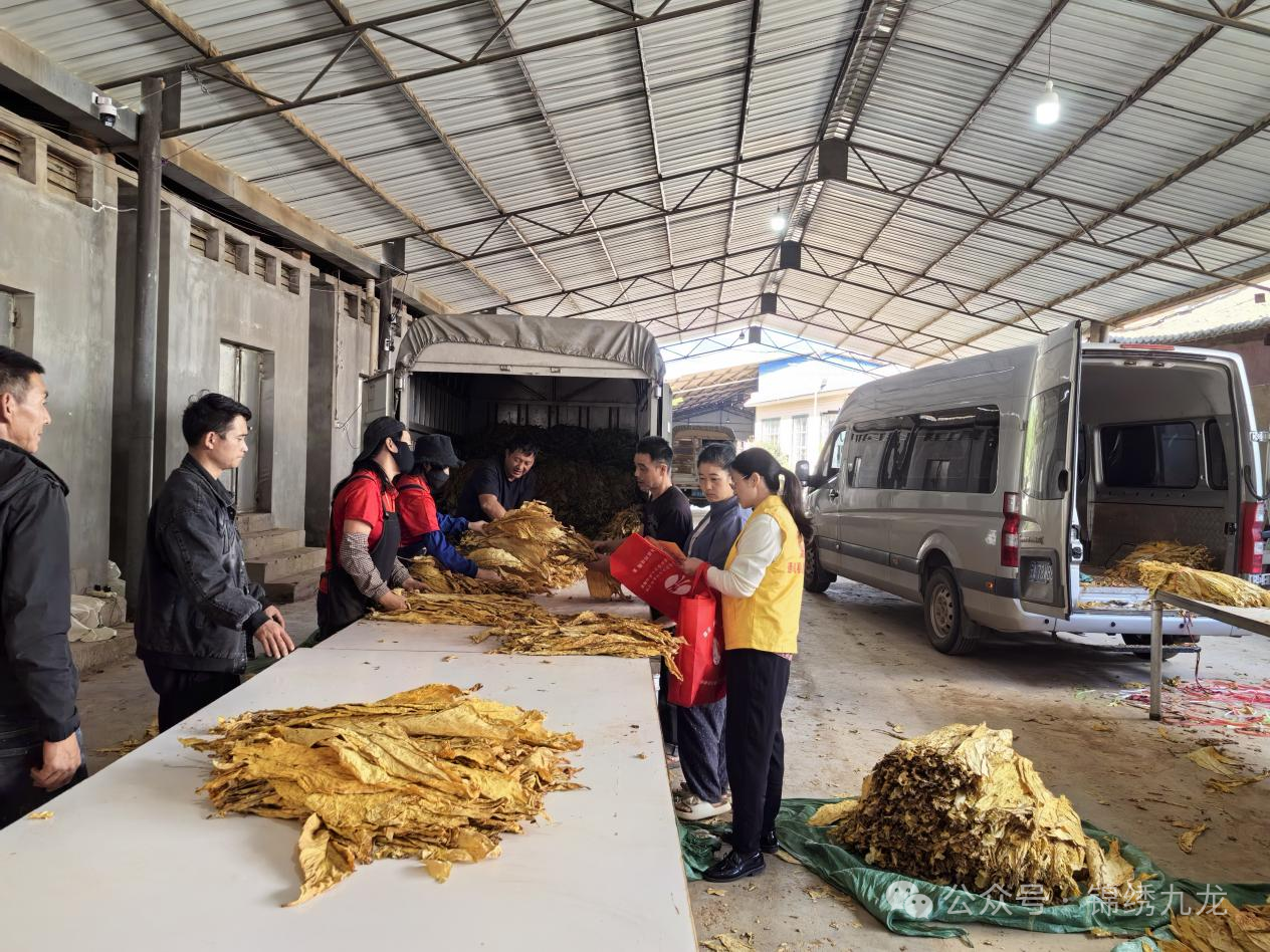 微信图片_2025-09-19_092316_798.png