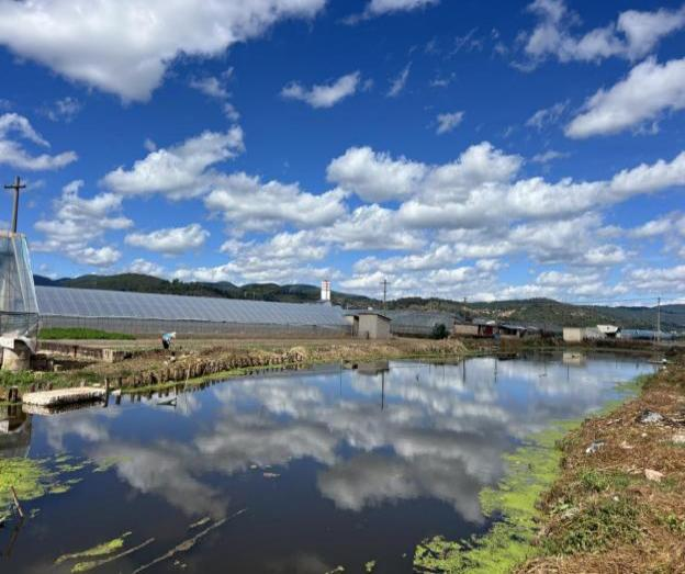 图片1.png 图片1.png