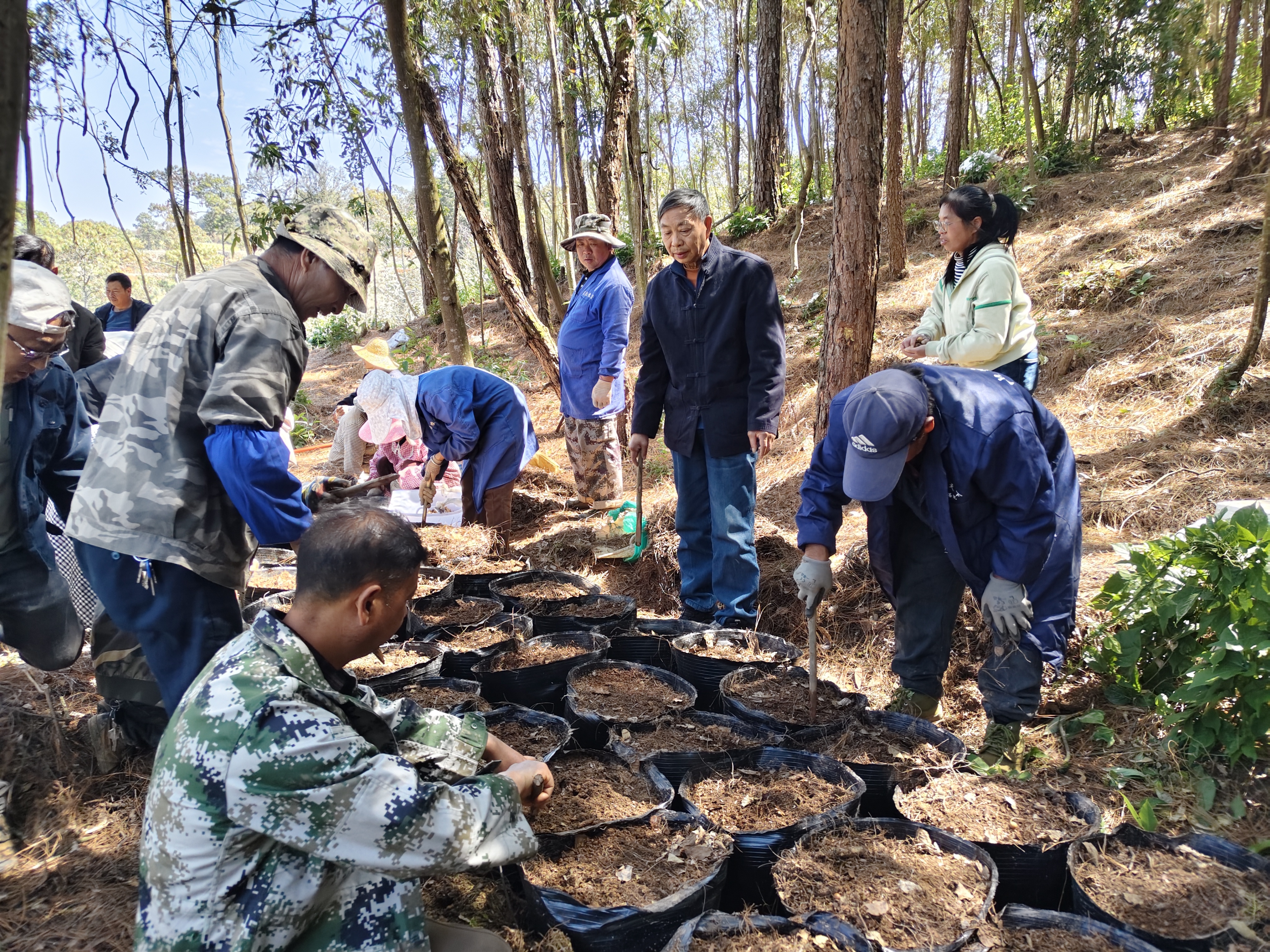 微信图片_20260226091837_76_73.jpg 微信图片_20260226091837_76_73.jpg