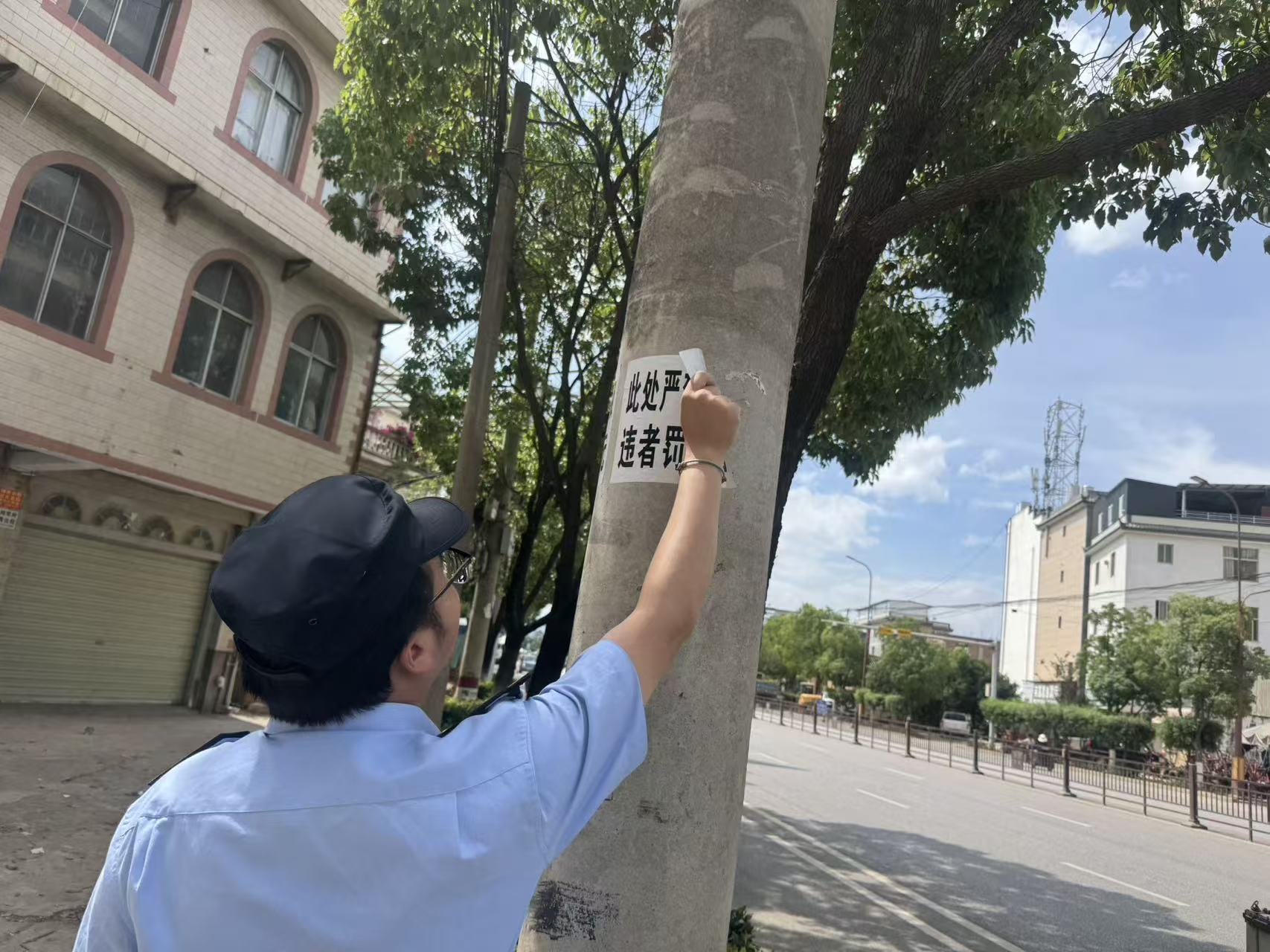 图片3.png